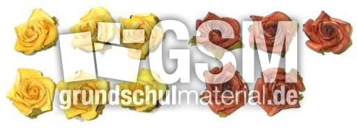 Blumen6+5.jpg